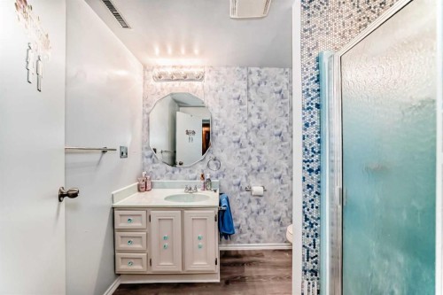 165 Marbrooke Circle Ne, Calgary, AB - Indoor Photo Showing Bathroom