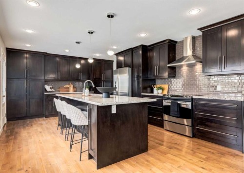 176 Mapleburn Drive Se, Calgary, AB - Indoor Photo Showing Kitchen With Stainless Steel Kitchen With Upgraded Kitchen