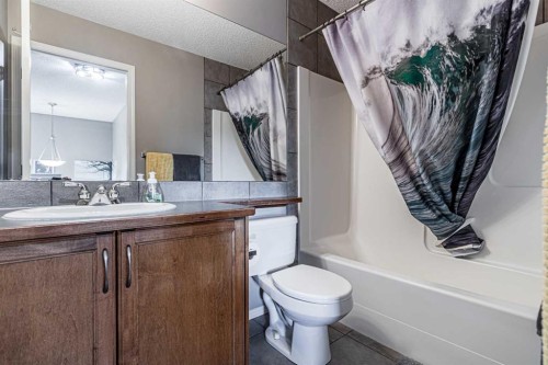 14 Elgin Meadows Way Se, Calgary, AB - Indoor Photo Showing Bathroom