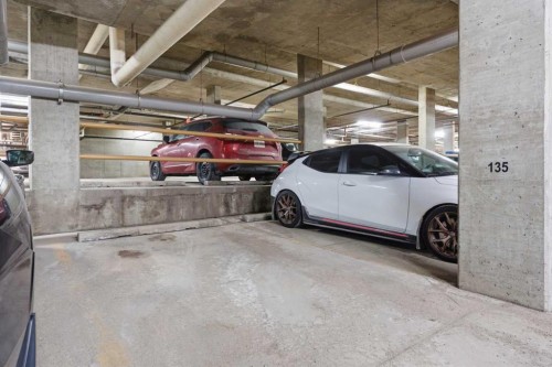 430-22 Richard Place Sw, Calgary, AB - Indoor Photo Showing Garage