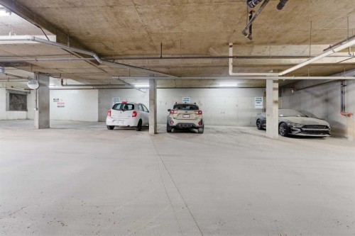 430-22 Richard Place Sw, Calgary, AB - Indoor Photo Showing Garage