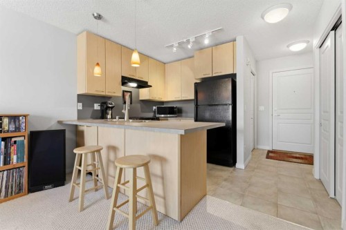 430-22 Richard Place Sw, Calgary, AB - Indoor Photo Showing Kitchen