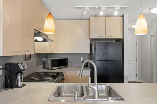 430-22 Richard Place Sw, Calgary, AB - Indoor Photo Showing Kitchen With Double Sink