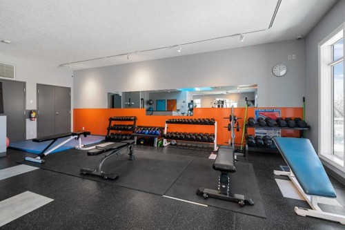 7204-14 Hemlock Crescent Sw, Calgary, AB - Indoor Photo Showing Gym Room