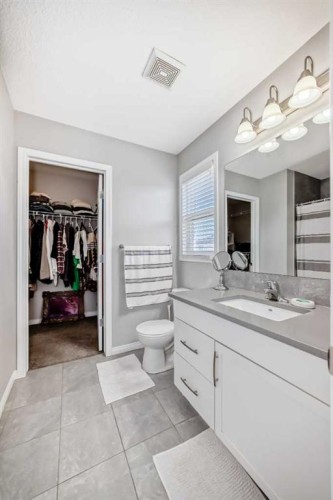 61 Cityscape View Ne, Calgary, AB - Indoor Photo Showing Bathroom