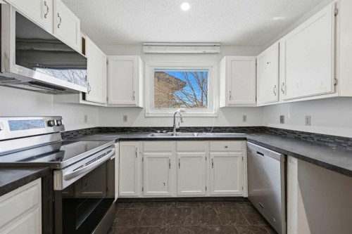 92 Whitlock Close Ne, Calgary, AB - Indoor Photo Showing Kitchen With Double Sink