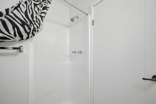 92 Whitlock Close Ne, Calgary, AB - Indoor Photo Showing Bathroom