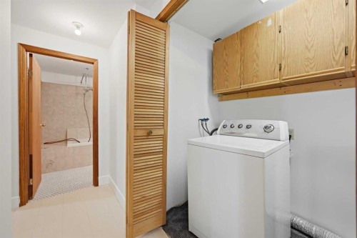 92 Whitlock Close Ne, Calgary, AB - Indoor Photo Showing Laundry Room