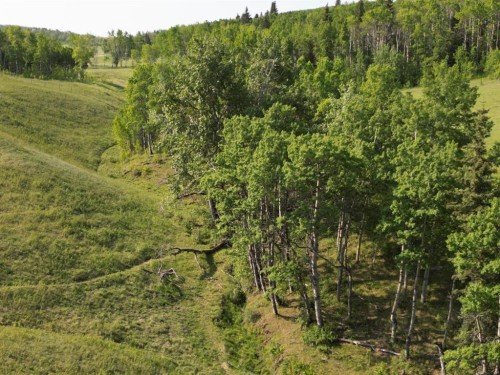 - -, Millarville, AB 