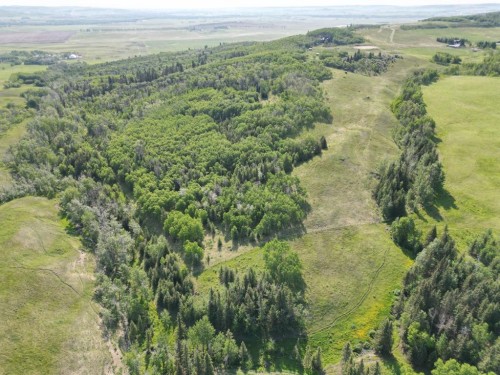 - -, Millarville, AB 
