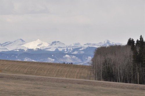 - -, Millarville, AB 