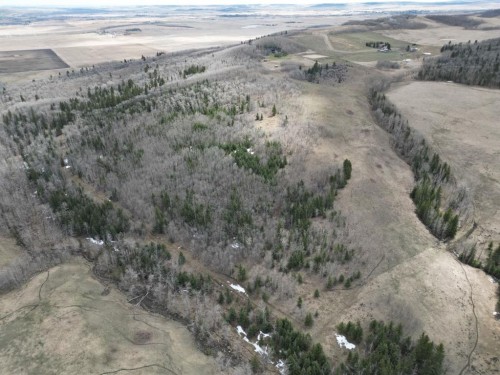 - -, Millarville, AB 
