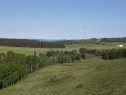 - -, Millarville, AB 
