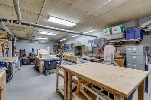 2309-2309 Hawksbrow Point Nw, Calgary, AB - Indoor Photo Showing Garage