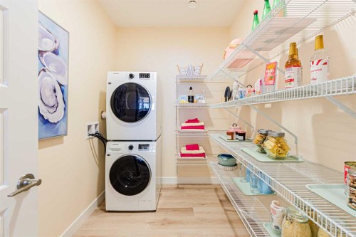 71 Ricardo Ranch Avenue Se, Calgary, AB - Indoor Photo Showing Laundry Room