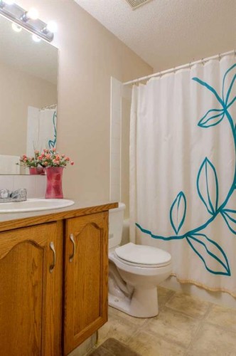 161 Saddlecrest Close Ne, Calgary, AB - Indoor Photo Showing Bathroom