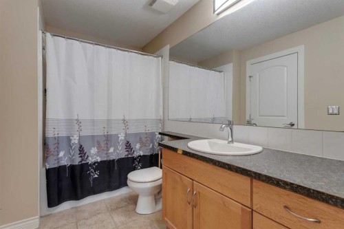 403-3101 34 Avenue Nw, Calgary, AB - Indoor Photo Showing Bathroom