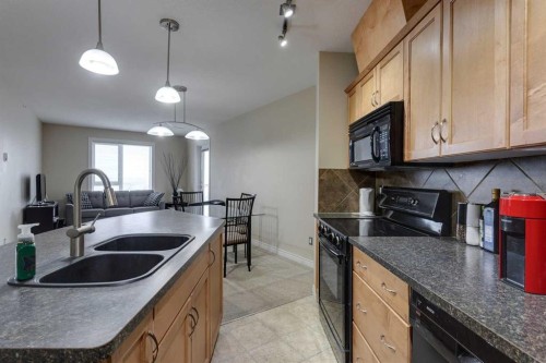403-3101 34 Avenue Nw, Calgary, AB - Indoor Photo Showing Kitchen With Double Sink