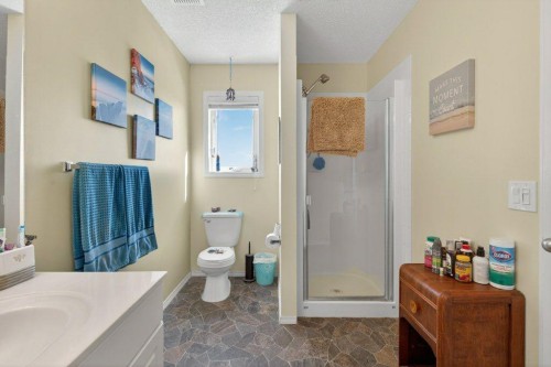 92 Hamptons Link Nw, Calgary, AB - Indoor Photo Showing Bathroom