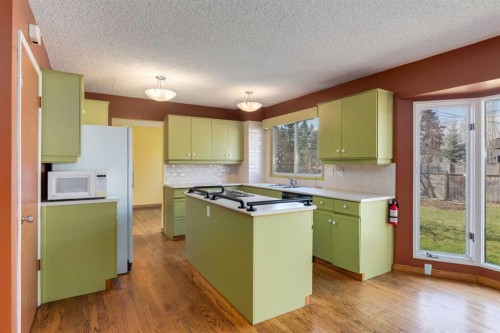 43 Mapleburn Drive Se, Calgary, AB - Indoor Photo Showing Kitchen
