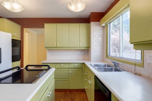 43 Mapleburn Drive Se, Calgary, AB - Indoor Photo Showing Kitchen With Double Sink
