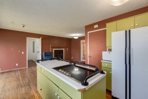 43 Mapleburn Drive Se, Calgary, AB - Indoor Photo Showing Kitchen