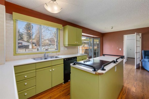 43 Mapleburn Drive Se, Calgary, AB - Indoor Photo Showing Kitchen With Double Sink