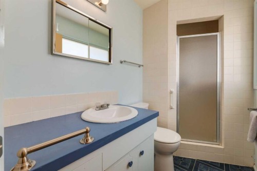 43 Mapleburn Drive Se, Calgary, AB - Indoor Photo Showing Bathroom