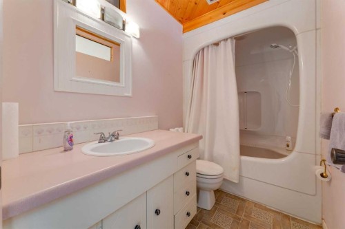 43 Mapleburn Drive Se, Calgary, AB - Indoor Photo Showing Bathroom