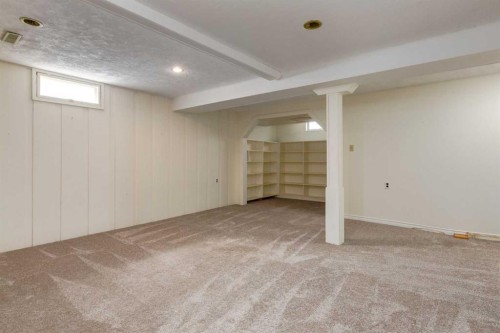 43 Mapleburn Drive Se, Calgary, AB - Indoor Photo Showing Basement