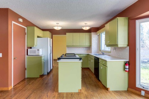 43 Mapleburn Drive Se, Calgary, AB - Indoor Photo Showing Kitchen With Double Sink