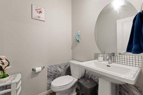 286 Cornerstone Crescent Ne, Calgary, AB - Indoor Photo Showing Bathroom