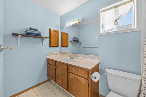 316 Coventry Close Ne, Calgary, AB - Indoor Photo Showing Bathroom