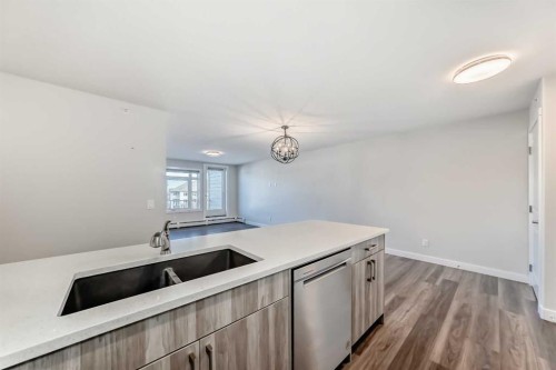 2425-6118 80 Avenue Ne, Calgary, AB - Indoor Photo Showing Kitchen With Double Sink