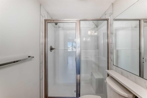 2425-6118 80 Avenue Ne, Calgary, AB - Indoor Photo Showing Bathroom