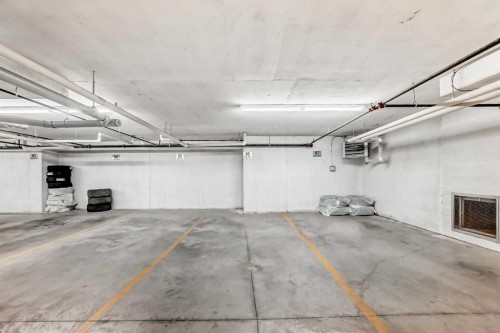 2425-6118 80 Avenue Ne, Calgary, AB - Indoor Photo Showing Garage