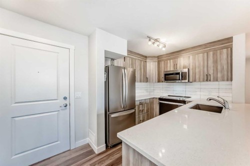 2425-6118 80 Avenue Ne, Calgary, AB - Indoor Photo Showing Kitchen With Stainless Steel Kitchen With Upgraded Kitchen