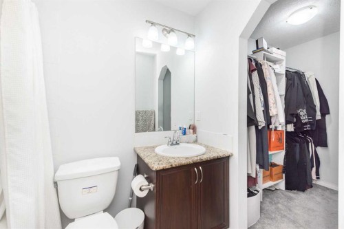 19 Skyview Ranch Crescent Ne, Calgary, AB - Indoor Photo Showing Bathroom