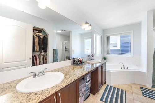 19 Skyview Ranch Crescent Ne, Calgary, AB - Indoor Photo Showing Bathroom