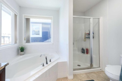 19 Skyview Ranch Crescent Ne, Calgary, AB - Indoor Photo Showing Bathroom