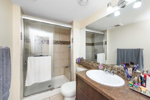 19 Skyview Ranch Crescent Ne, Calgary, AB - Indoor Photo Showing Bathroom