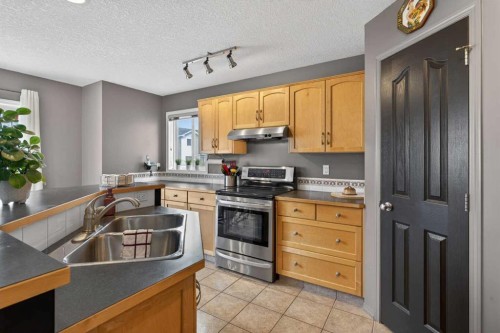 204 Citadel Meadow Close Nw, Calgary, AB - Indoor Photo Showing Kitchen With Double Sink