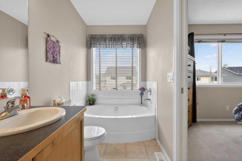 204 Citadel Meadow Close Nw, Calgary, AB - Indoor Photo Showing Bathroom