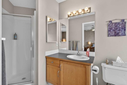 204 Citadel Meadow Close Nw, Calgary, AB - Indoor Photo Showing Bathroom