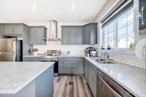126 Cityspring Gate Ne, Calgary, AB - Indoor Photo Showing Kitchen With Double Sink With Upgraded Kitchen