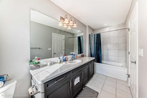 126 Cityspring Gate Ne, Calgary, AB - Indoor Photo Showing Bathroom