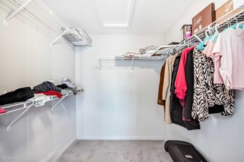 126 Cityspring Gate Ne, Calgary, AB - Indoor With Storage