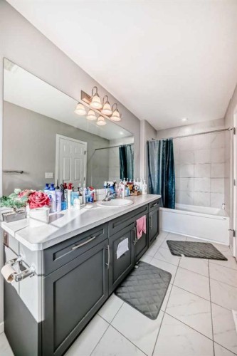 126 Cityspring Gate Ne, Calgary, AB - Indoor Photo Showing Bathroom