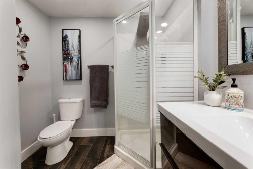 9915 Patton Road Sw, Calgary, AB - Indoor Photo Showing Bathroom