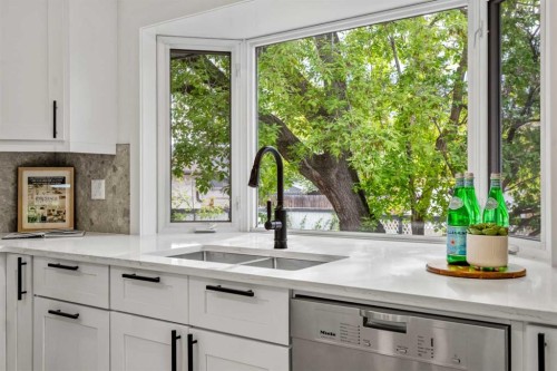 235 Lake Rosen Crescent Se, Calgary, AB - Indoor Photo Showing Kitchen With Double Sink